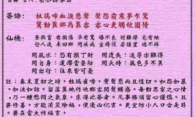 黄大仙灵签 第18签：下下 杜鹃泣血动客心