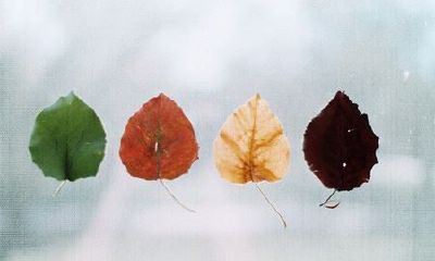 姓郑女孩有寓意的名字大全