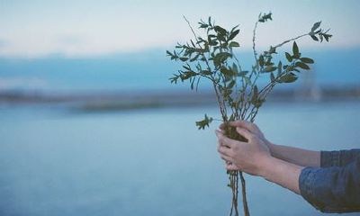 姓蒋女孩有寓意的名字大全