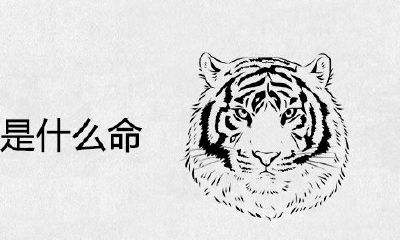 1986什么是年属虎？