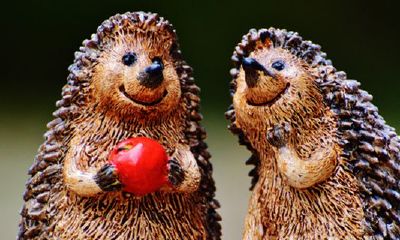 2022虎年不结婚的属相