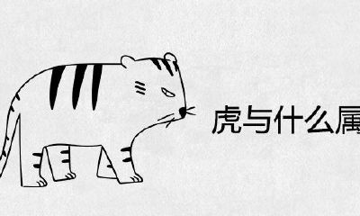 虎宝宝属于什么父母？