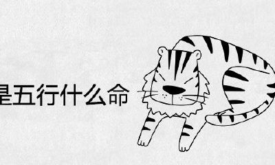 2022年虎宝宝的五行是什么