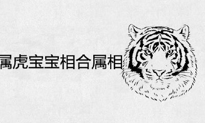 2022年属虎的宝宝属相