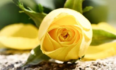 2022为什么5月份不能生老虎？