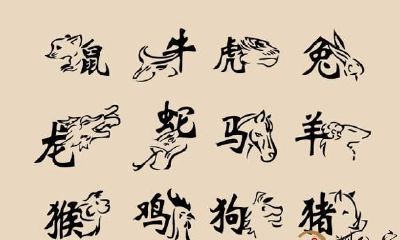 属虎的生肖和什么属相最配