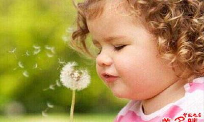 贺姓宝宝起名方略