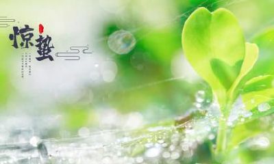 2022年惊蛰登记领证好不好？2022年有寓意的领证日子