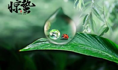 2022年惊蛰是什么时候几月几日？惊蛰与人们生活的关系