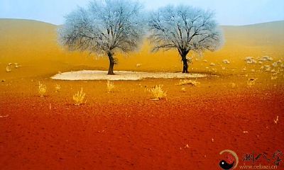 有关八字合婚的一些基础知识