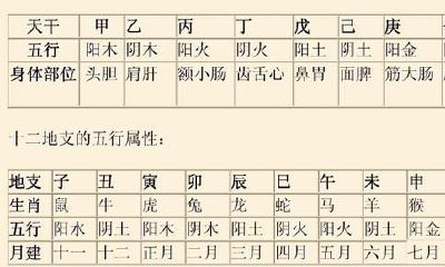 《四柱八字》排盘基本知识极报表（第一节）