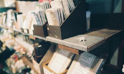 爸爸姓冯,妈妈姓陈 女孩名字三个字四个字