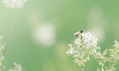 2022年虎年二月初五祭祀好吗？日子吉利吗？