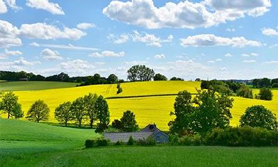 2022年虎年二月初七黄历是适合祭祀的好日子吗？