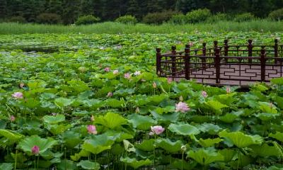 2018年大暑喜神方位在哪里？各个时辰喜神方位