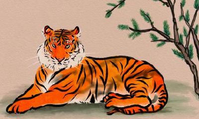 2022虎年元宵节日子好吗？孕妇需要元宵节躲灯吗？