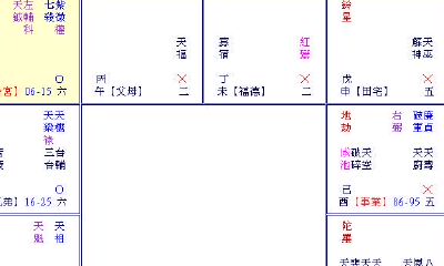 紫微斗数断例（二）
