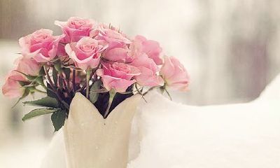 姓缑可爱的女孩名字大全