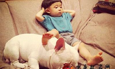 2017年姓刘的鸡宝宝取名大全