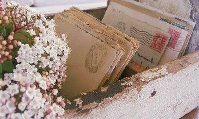 姓经可爱的女孩名字大全