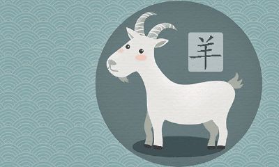 猴骑羊荣华富贵是什么寓意