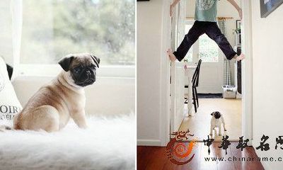 2017年带金字旁的男孩名字大全