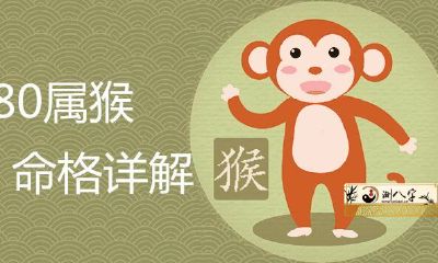 1980年属猴的是什么命