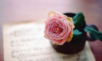 姓伏可爱的女孩名字大全