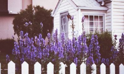 姓丘可爱的女孩名字大全