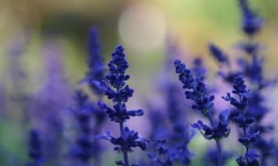 姓曲女孩有寓意的名字大全