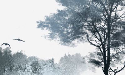 2023年正月初五酉时出生的男生