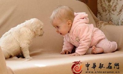 2017年农历六月出生的鸡宝宝性格特征分析