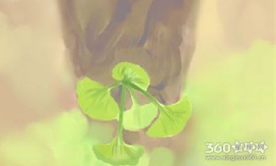 有一万种方法上女生的生肖渣男