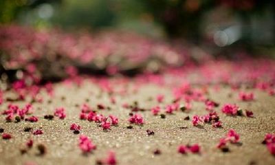 姓羊女孩有寓意的名字大全