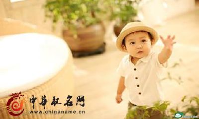 2017姓孙的鸡宝宝名字大全