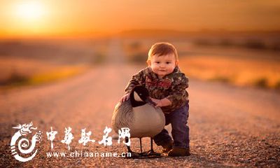 2017鸡年好听的男孩名字大全