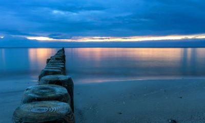 姓蓬女孩有寓意的名字大全