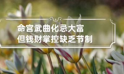 命宫武曲化忌大富 但钱财掌控缺乏节制