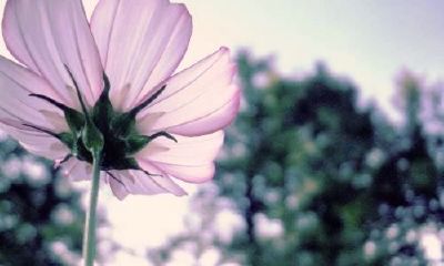 姓融可爱的女孩名字大全