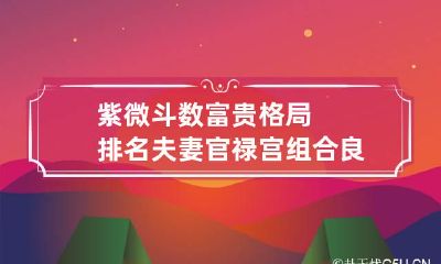 紫微斗数富贵格局排名 夫妻官禄宫组合良好事业有成
