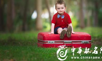 适合鸡宝宝的男孩起名常用字大全