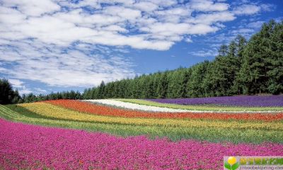 公历2019年3月20号午时出生的女宝宝名字怎么取，宜用哪些字