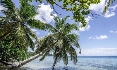 春分出生的女宝宝小名大全