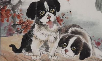 狗年人的“中晚年时期”运势，总算有好处了！速看！