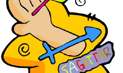 射手座狗窝混乱指数