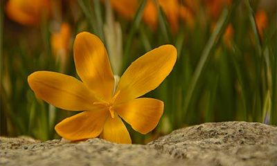 2022大年初四立春乔迁新家吉利吗？没有立春的年份可以乔迁吗？