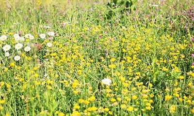 立春不能吃什么食物？讲究吃什么？