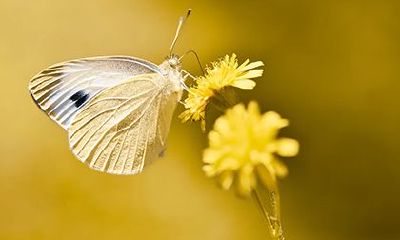 立春当天能理发吗？2022年立春是农历几月几日？