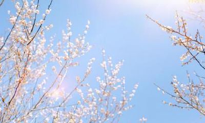 立春是晴天好还是下雨好？2022立春这一天可以约会吗？