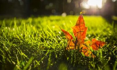 2021年立秋节气立可以同房吗？立秋后是秋天还是夏天？